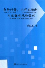 会计计量  小样本推断与宏微观风险管理