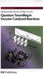 Quantum Tunnelling in Enzyme-Catalysed Reactions