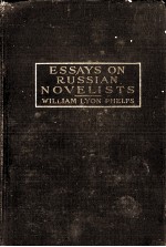 ESSAYS ON RUSSIAN NOVELISTS