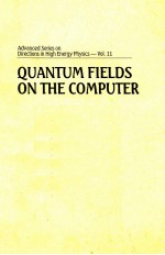 QUANTUM FIELDS ON THE COMPUTER