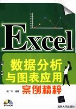 Excel数据分析与图表应用案例精粹