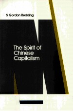 The Spirit of Chinese Capitalism