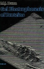 Gel electrophoresis of proteins