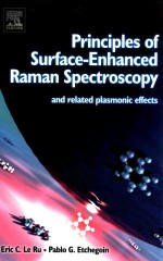 Principles of surface-enhanced Raman spectroscopy and related plasmonic effects