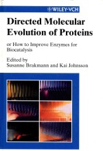 Directed molecular evolution of proteins or how to improve enzymes for biocatalysis