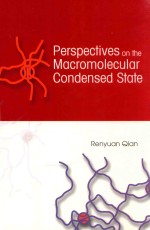 Perspectives on the macromolecular condensed state