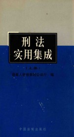 刑法实用集成  上