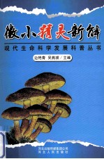 微小精灵新解