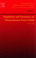 Singularity and dynamics on discontinuous vector fields