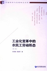 工业化变革中的农民工劳动形态  第2版