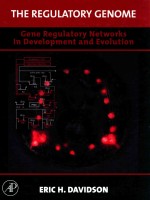 The regulatory genome gene regulatory networks in development and evolution