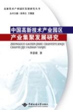 中国高新技术产业园区产业集聚发展研究