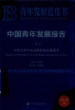 中国青年发展报告  No.2  中国青少年权益保护的发展进步