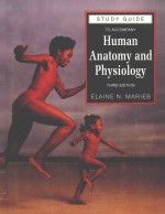 STUDY GUIDE TO ACCOMPANY HUMAN ANATOMY AND PHYSIOLOGY  THIRD EDITION