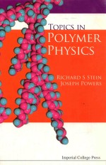 Topics in Polymer Physics