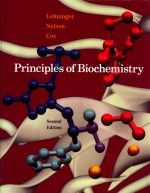 Principles of biochemistry with an extended discussion of oxygen-binding proteins second edition