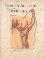 HUMAN ANATOMY AND PHYSIOLOGY  FIFTH EDITION