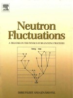 Neutron fluctuations a treatise on the physics on branching processes