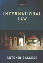 INTERNATIONAL LAW  SECOND EDITION