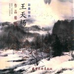 王天杨作品精选