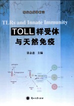 TOLL样受体与天然免疫