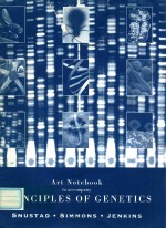 Art Notebook to Accompany Principles of Genetics