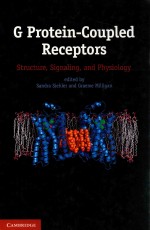 G protein-coupled receptors : structure