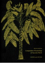 COMPARATIVE MORPHOLOGY OF VASCULAR PLANTS  SECOND EDITION
