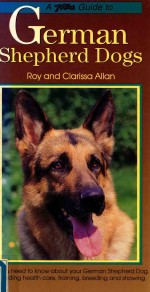 A PetLove Guide to German Shepherd Dogs