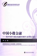 中国小微金融  贯穿中国中小微企业融资的规划与盈利模式设计