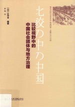 比较视野中的中国社会团体与地方治理