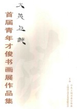 大美上饶  首届青年才俊书画展作品集