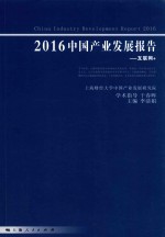 2016中国产业发展报告  互联网+