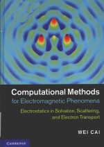 COMPUTATIONAL METHODS FOR ELECTROMAGNETIC PHENOMENA  ELECTROSTATICS IN SOLVATION