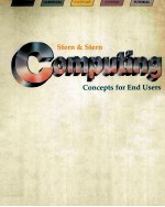 COMPUTING CONCEPTS FOR END USERS