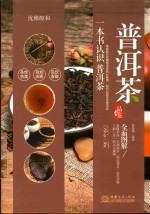 优雅醇和  普洱茶品鉴