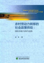 农村劳动力转移的社会政策供给  国际经验与国内实践