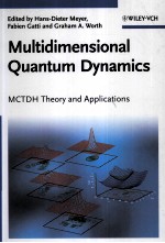 Multidimensional Quantum Dynamics