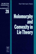 Holomorphy and convexity in Lie theory