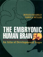 The embryonic human brain an atlas of developmental stages