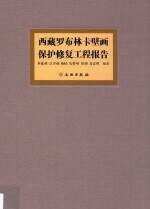 西藏罗布林卡壁画保护修复工程报告