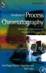 Handbook of process chromatography development