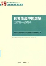 世界能源中国展望  2018-2019版