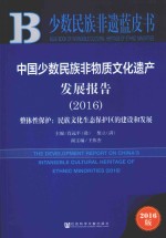 中国少数民族非物质文化遗产发展报告  2016版