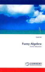 fuzzy algebra some advances