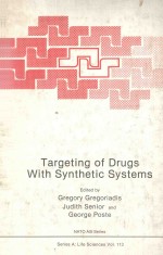 Targeting of drugs with synthetic systems