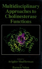 Multidisciplinary Approaches to Cholinesterase Functions