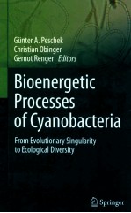 Bioenergetic processes of cyanobacteria : from evolutionary singularity to ecological diversity