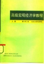 高级宏观经济学教程  下