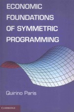 ECONOMIC FOUNDATIONS OF SYMMETRIC PROGRAMMING